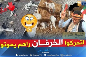 الشيخ النوي: الفلاح راه يعاني مسكين..  والنعاج راهي تموت.. ويقولو مرناش في حالة طوارئ