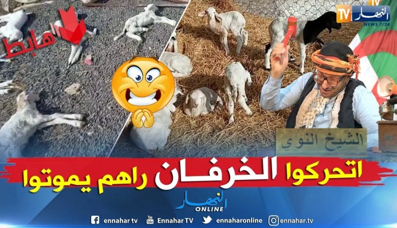 الشيخ النوي: الفلاح راه يعاني مسكين..  والنعاج راهي تموت.. ويقولو مرناش في حالة طوارئ