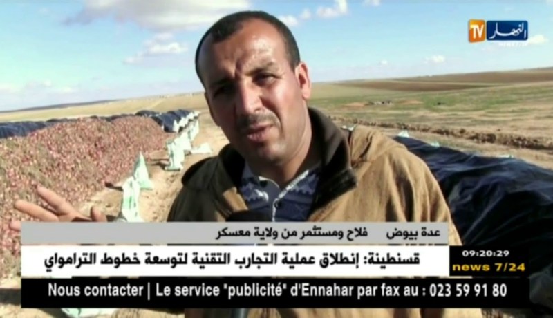 تيارت: أطنان من البصل تتعرض للتلف في ظل إنعدام غرف التبريد