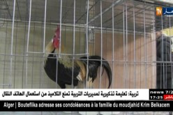 وهران: نادي الباهية لحمام السباقات تنظم أول معرض لحمام الزينة