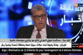 لأول مرة .. مستثمرة مزوزي تنجح في إنتاج موز جزائري بمواصفات عالمية