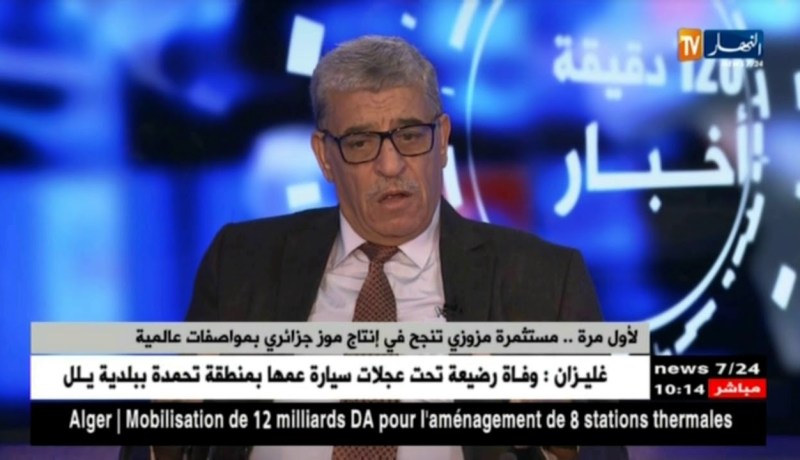 لأول مرة .. مستثمرة مزوزي تنجح في إنتاج موز جزائري بمواصفات عالمية