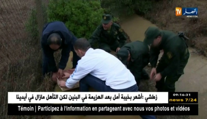 عين تموشنت/ النهار ترصد مشاهد إطلاق أزيد من 1000 طائر حسون محجوز