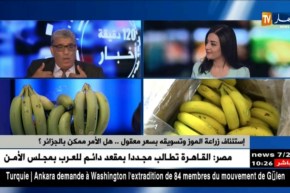 إستئناف زراعة الموز وتسويقه بسعر معقول .. هل الأمر ممكن بالجزائر ؟