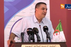 عبد العزيز بلعيد: الأحزاب السياسية في الجزائر بنيت كأبواق لبعض التيارات