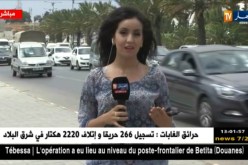 “تذبذب في الوضعية الجوّية بأقصى الجنوب..درجات حرارة مرتفعة مصحوبة بأمطار ورعود”