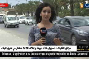 “تذبذب في الوضعية الجوّية بأقصى الجنوب..درجات حرارة مرتفعة مصحوبة بأمطار ورعود”