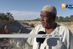 الوادي: واحات النخيل مهددة بالزوال لإنتشار خنادق وحفر الصرف الصحي