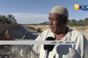 الوادي: واحات النخيل مهددة بالزوال لإنتشار خنادق وحفر الصرف الصحي