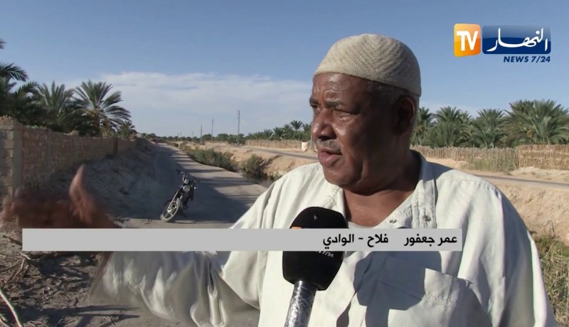 الوادي: واحات النخيل مهددة بالزوال لإنتشار خنادق وحفر الصرف الصحي