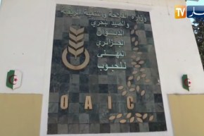 الديوان المهني للحبوب يرفض دخول شحنة قمح صلب بسبب عدم مطابقتها للمعايير