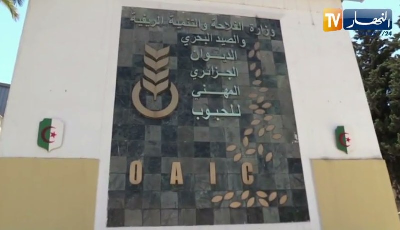 الديوان المهني للحبوب يرفض دخول شحنة قمح صلب بسبب عدم مطابقتها للمعايير