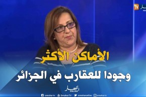 الدكتورة عليان فريدة : هذه هي أخطر الأماكن وجودا للعقارب في الجزائر