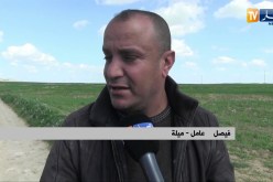 ميلة: فلاحون يطالبون بتوفير محيطات السقي للحفاظ على نشاطهم الزراعي