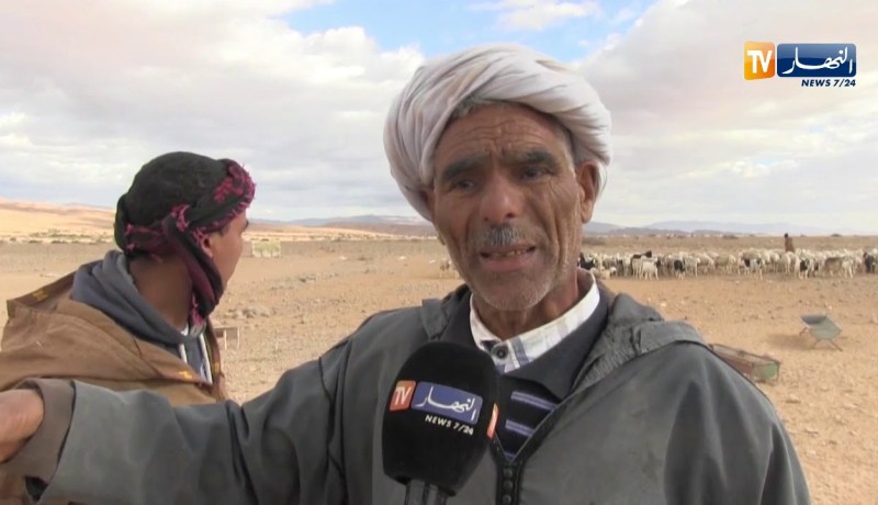 بسكرة/ نفوق العشرات من رؤوس الماشية بعد تلقيحها