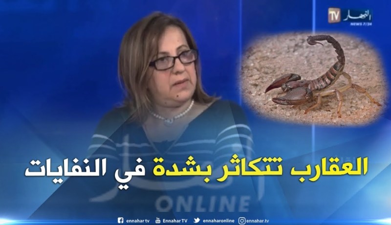 الدكتورة عليان فريدة: كثرة النفايات هي السبب الرئيسي في إنتشار العقارب