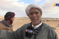 نفوق العشرات من رؤوس الماشية بعد تلقيحها ببسكرة