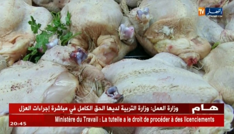 صرع الدواجن.. الجزائريون يحققون قبل شراء الدجاج