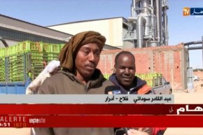 أدرار: مئات الأطنان من الطماطم يساقبلها مصنع مصبرات رقان يوميا