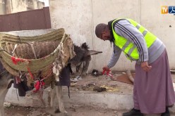 طلة الصباح: عمال النظافة من حي القصبة يحافظون على عاداتهم في تنظيف أزقتها