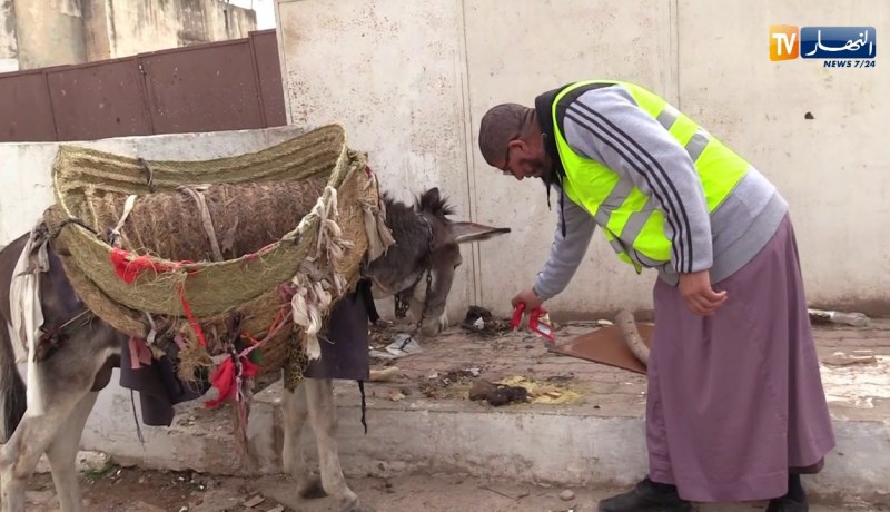 طلة الصباح: عمال النظافة من حي القصبة يحافظون على عاداتهم في تنظيف أزقتها