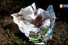 ظاهرة نفوق رؤوس الأبقار تتواصل وتتوسع عبر مختلف بلديات جيجل