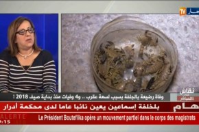 الدكتورة عليان فريدة: هذا هو النوع الاخطر و القاتل من العقارب المتواجد في الجزائر