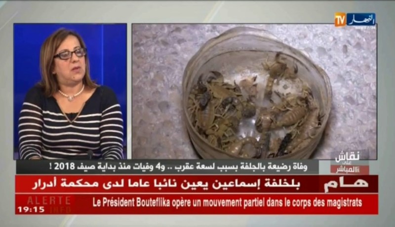 الدكتورة عليان فريدة: هذا هو النوع الاخطر و القاتل من العقارب المتواجد في الجزائر