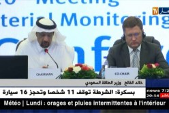وزير الطاقة السعودي: منظمة أوبك لا تسعى لرفع سعر النفط في الأسواق العالمية
