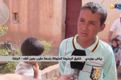 الجلفة: العقارب تهدد سكان الأرياف و تسجيل ضحية بعين أفقه