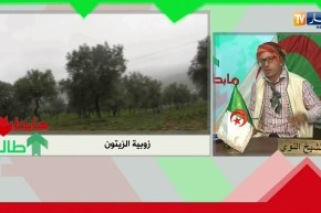 طالع هابط: جنة تع زيتون خربوها بالزوبية بالشلف