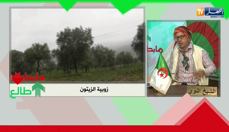 طالع هابط: جنة تع زيتون خربوها بالزوبية بالشلف