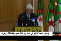 وزير العدل: سوف يتم إنشاء 6 محاكم إدارية