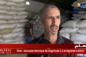 الشلف: موسم الحصاد..إرتفاع في إنتاج الحبوب مقارنة بالسنة الماضية