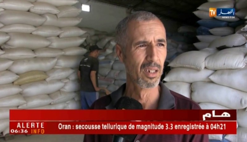 الشلف: موسم الحصاد..إرتفاع في إنتاج الحبوب مقارنة بالسنة الماضية