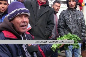 عين تموشنت: هكذا يسترزق رضوان من جمع وبيع نباتات برية وسبانخ