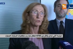 فرنسا: ألفي مدان وأكثر من 8700 إعتقال منذ بدء مظاهرات السترات الصفراء