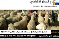 قهوة وجورنان: أهم ما تداولته المواقع الإلكترونية ليوم 19-08-2018