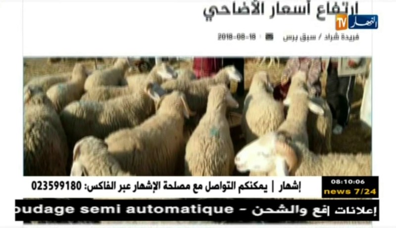 قهوة وجورنان: أهم ما تداولته المواقع الإلكترونية ليوم 19-08-2018