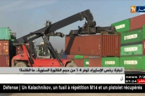 تجارة : رخص الإستيراد توفر 4% من حجم الفاتورة السنوية ..ما الفائدة ؟