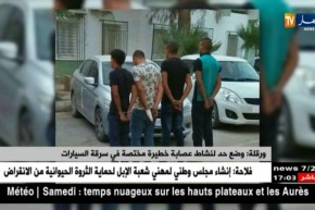 ورقلة: وضع حد لنشاط عصابة خطيرة مختصة في سرقة السيارات