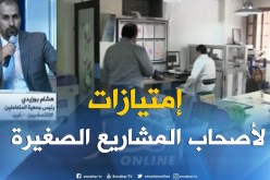 مالية : إعفاءات وإمتيازات جبائية لأصحاب المشاريع الصغيرة الممولة ذاتيا