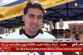 فلاحة: تربية النحل وإنتاج العسل.. مشاكل عدة تعيق نشاط المربين