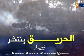 باتنة: توسع رقعة حريق جبل بوعريف والخسائر بمئات الهكتارات
