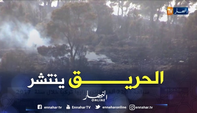 باتنة: توسع رقعة حريق جبل بوعريف والخسائر بمئات الهكتارات