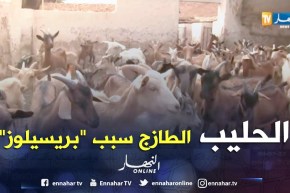غرداية: 109 حالات إصابة بالحمى المالطية “بريسيلوز” والسبب الحليب الطازج