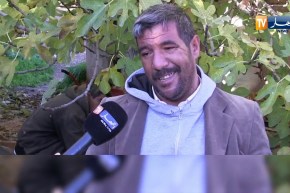 المدية: 5000 هكتار من الأراضي الخصبة تحولت إلى أراضي قاحلة بسيدي نعمان