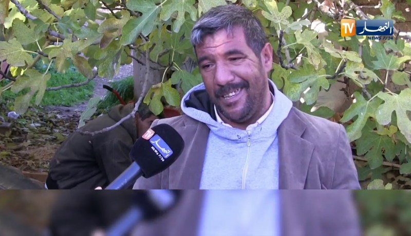 المدية: 5000 هكتار من الأراضي الخصبة تحولت إلى أراضي قاحلة بسيدي نعمان