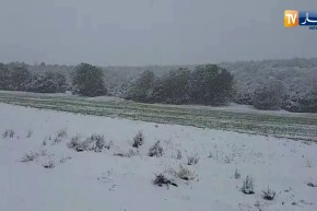 باتنة تكتسي الحلة البيضاء