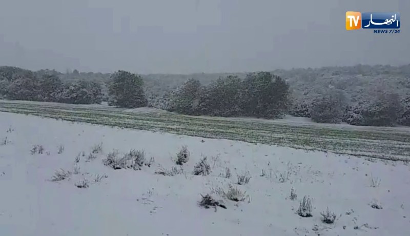 باتنة تكتسي الحلة البيضاء